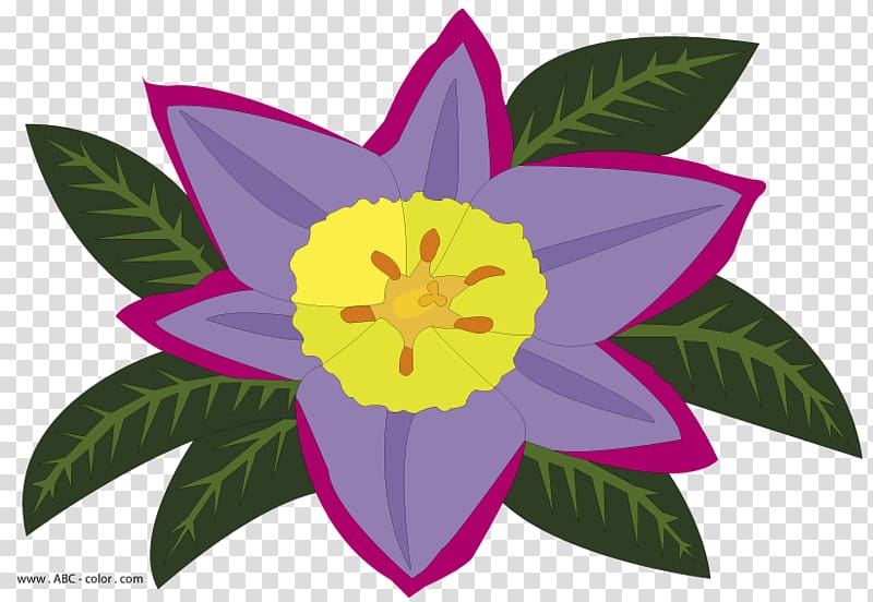 Raster graphics Petal Flower Creative Commons license, raster flower transparent background PNG clipart