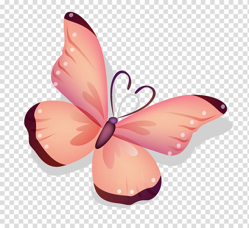 Macintosh Apple High-definition television 4K resolution , butterfly transparent background PNG clipart