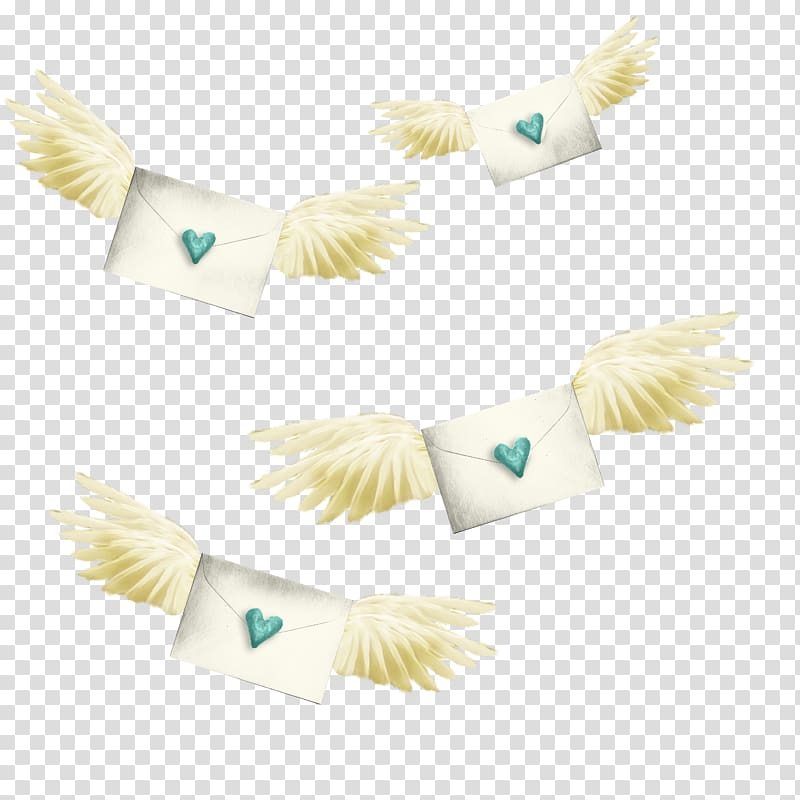 Feather Snowflake Art 1000 COLOR Bird, Wings letters transparent background PNG clipart