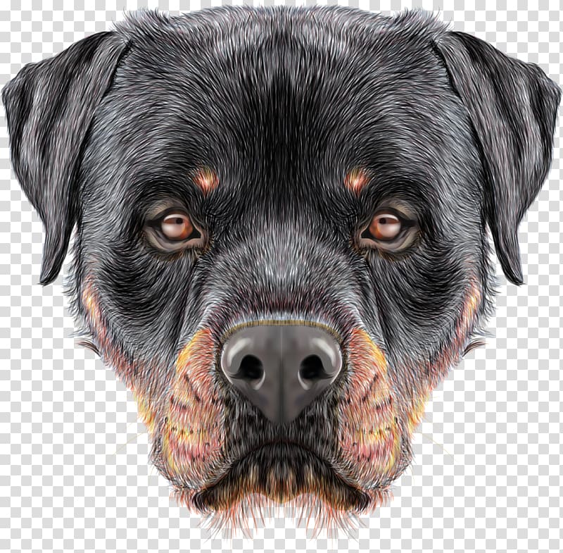 The Rottweiler Puppy Siberian Husky, puppy transparent background PNG clipart