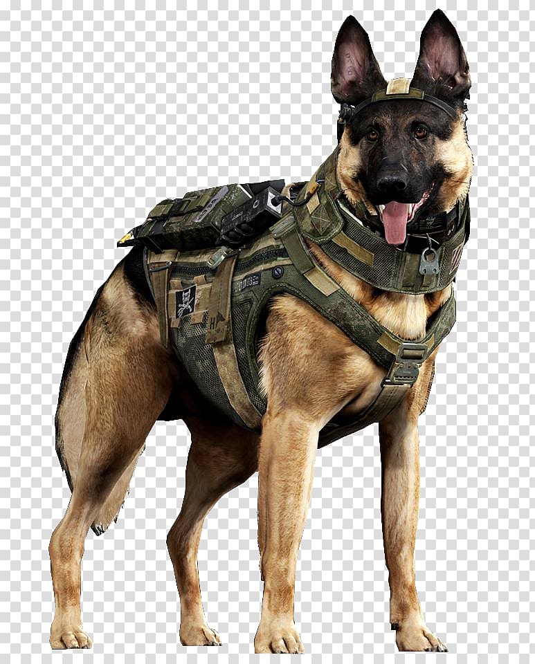 German Shepherd, German Shepherd Call of Duty: Ghosts Malinois dog Dogs in warfare Military, labrador transparent background PNG clipart