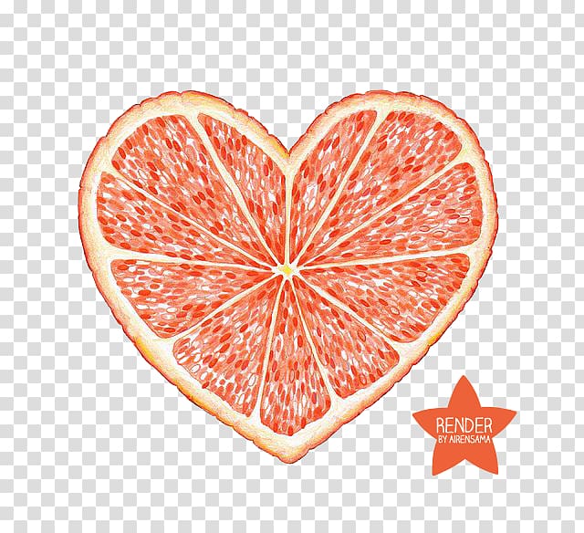 Blood orange Drawing Fruit, orange transparent background PNG clipart