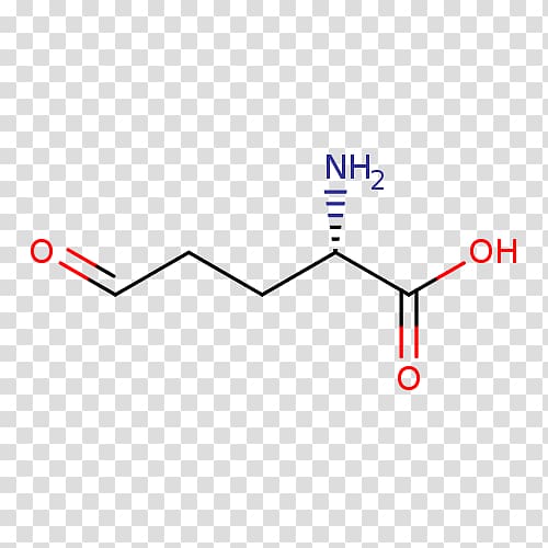 Chemistry Aromaticity Benzimidazole Piperine, others transparent background PNG clipart