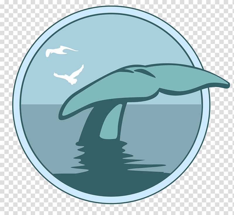 Whale\'s Tale Dolphin Marine mammal Cetacea, whale transparent background PNG clipart