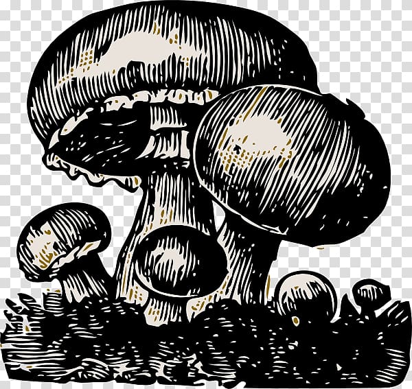 Mushroom cloud Food , mushroom transparent background PNG clipart