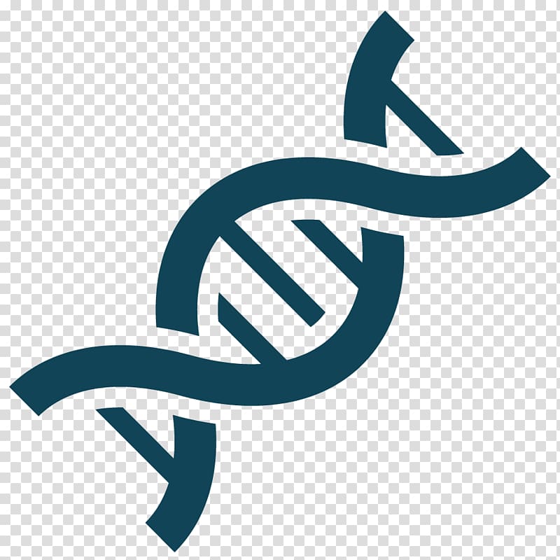 KCNK9 Birk-Barel syndrome Genetics DNA, dna transparent background PNG clipart