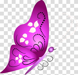 Butterfly Text , butterflies transparent background PNG clipart thumbnail