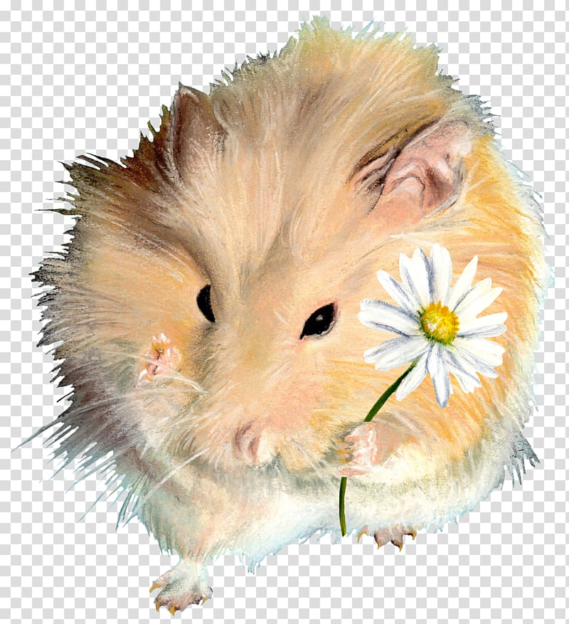 Rodent Hamster Guinea pig Dormouse, get well soon transparent background PNG clipart