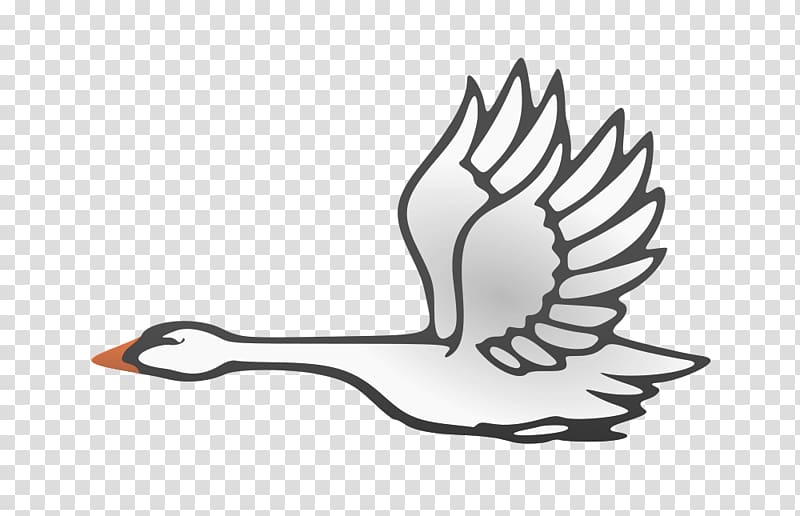 Bird Cygnini Flight Duck Goose, swan transparent background PNG clipart