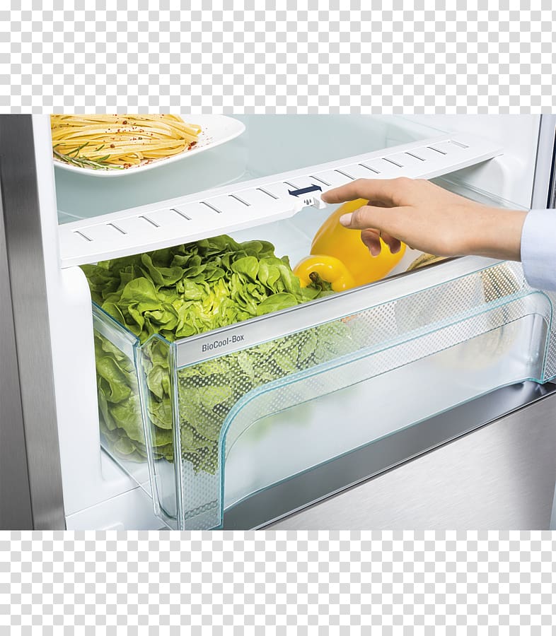 Refrigerator Liebherr Comfort K 3710 Liebherr Group Liebherr Kef 4310, refrigerator transparent background PNG clipart
