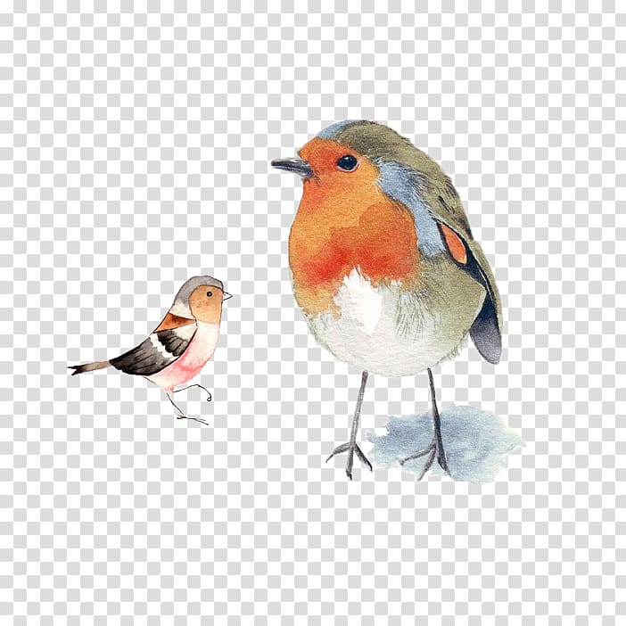 Bird European robin Watercolor painting Drawing, bird transparent background PNG clipart