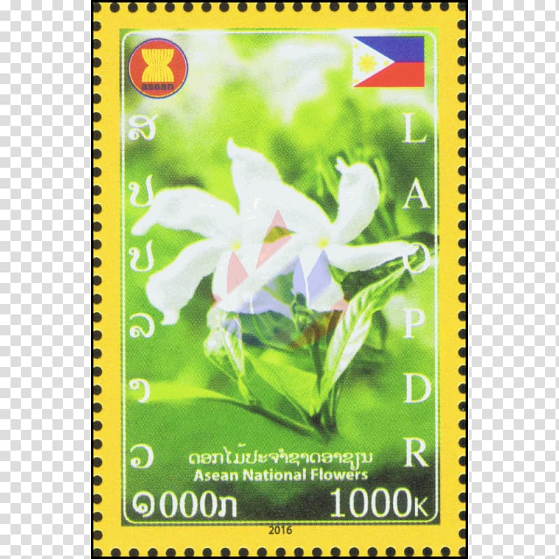 Arabian jasmine Association of Southeast Asian Nations Flower Vanda \'Miss Joaquim\' Olives, flower transparent background PNG clipart