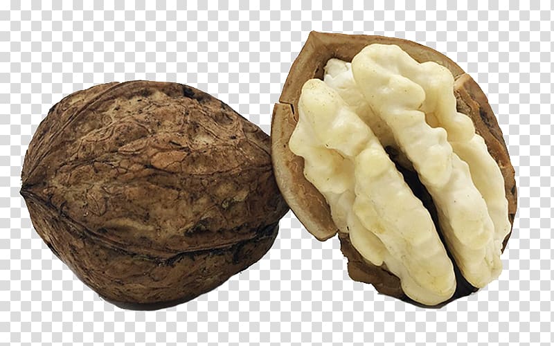 English walnut Peel, Walnut meat with skin transparent background PNG clipart
