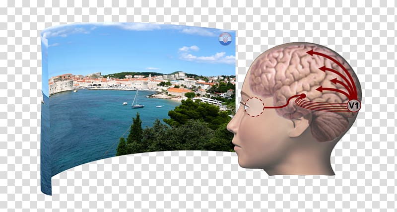 Headgear Brain Research Jaw Vacation, papers transparent background PNG clipart