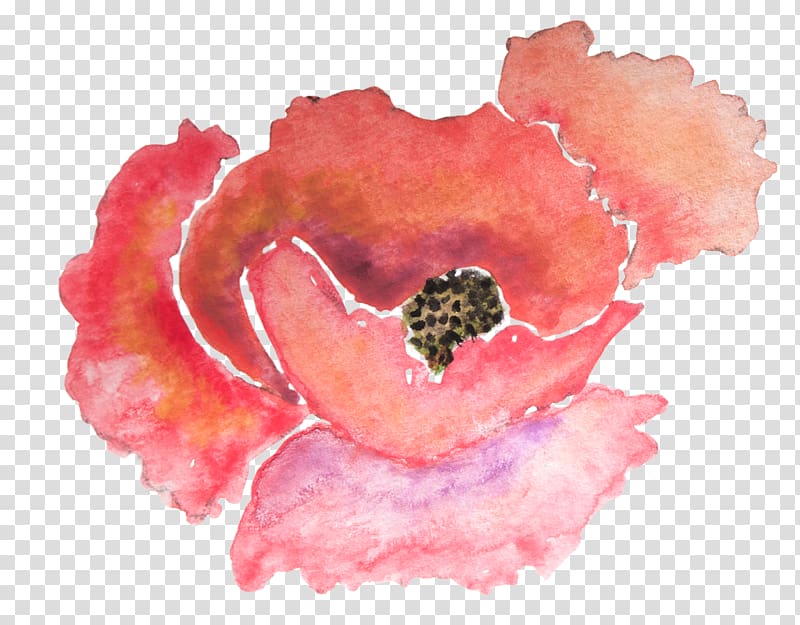 Paper Poppy Watercolor painting Flower Zazzle, watercolor flower transparent background PNG clipart