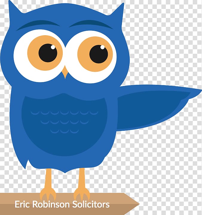 Owl Eric Robinson Solicitors Lawyer Barrister, owl transparent background PNG clipart