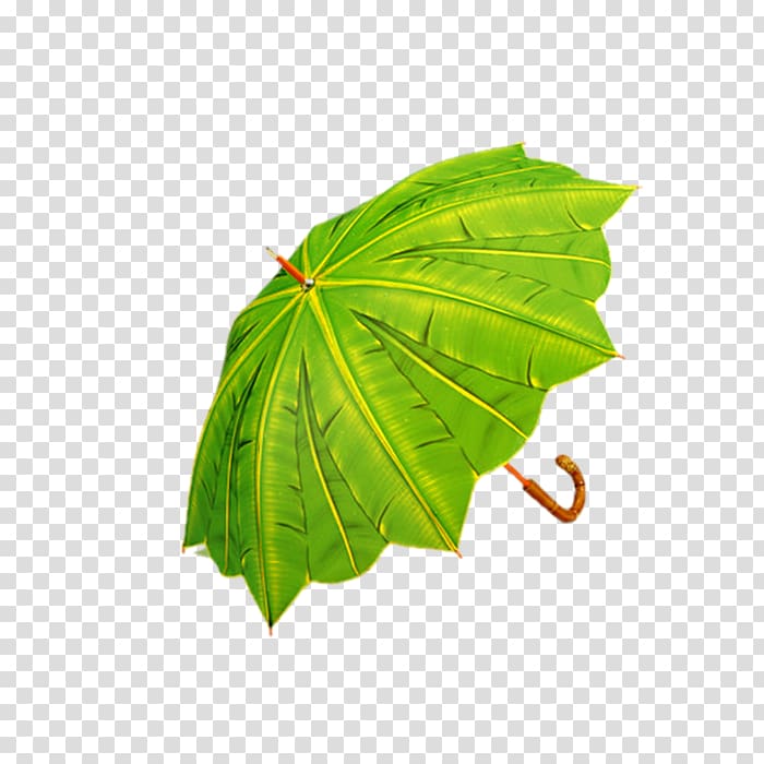 Umbrella Banana leaf Rain Green, umbrella transparent background PNG clipart