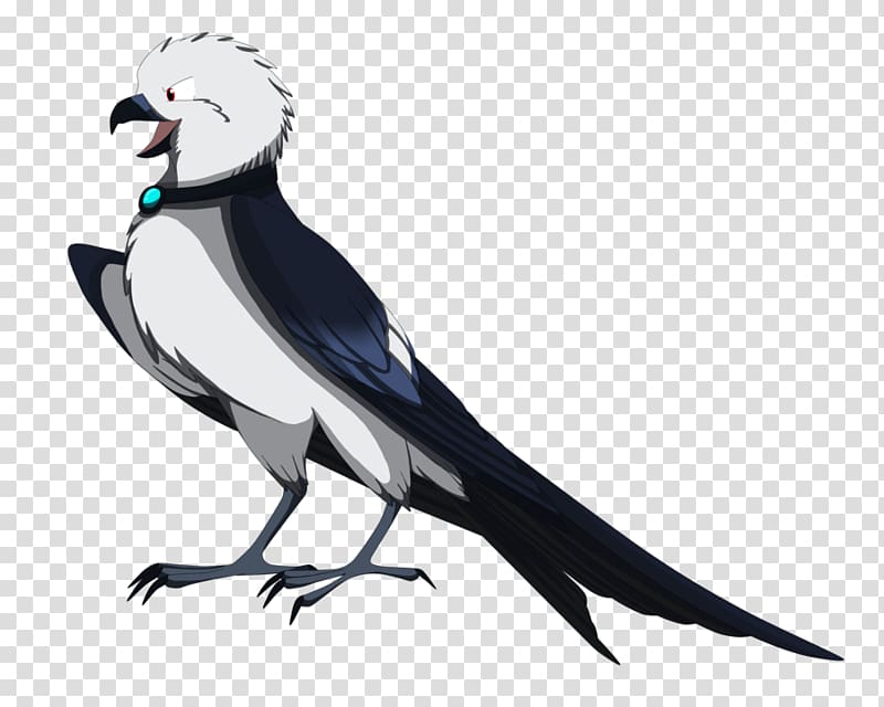 Swallow-tailed kite Drawing Beak Bird, swallowtail kite transparent background PNG clipart