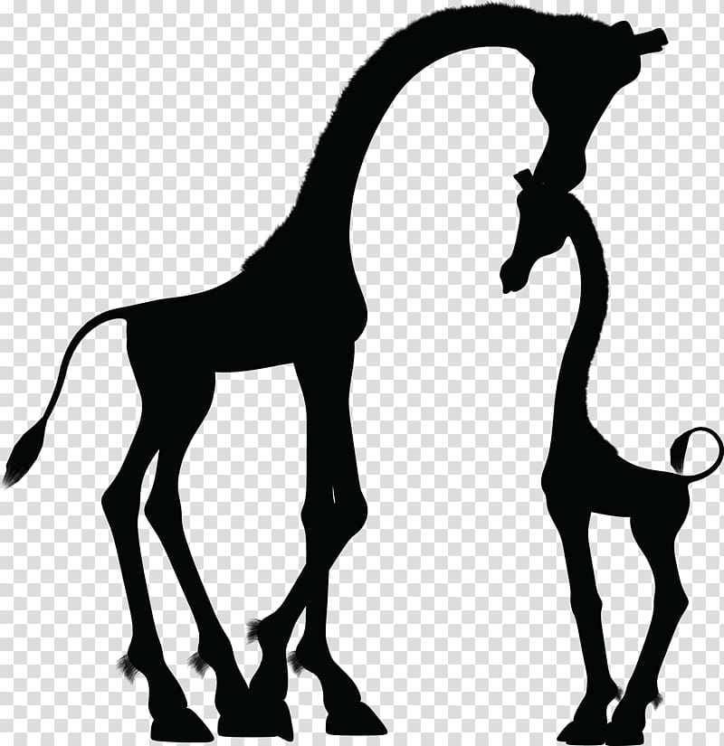 Baby Giraffes Silhouette , mom and baby transparent background PNG clipart