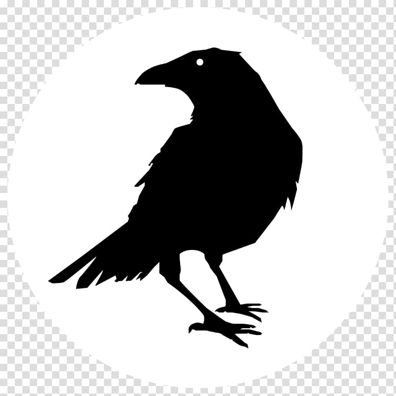 The Raven Crow Common raven , crow transparent background PNG clipart