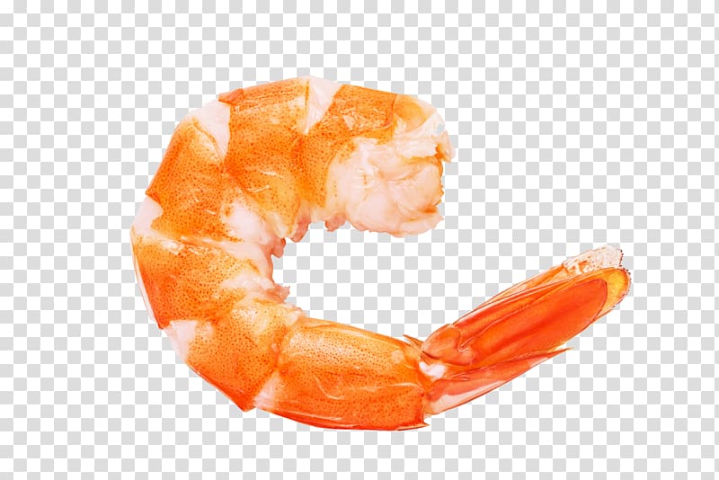 shrimp illustration, Caridea Prawn Shrimp Euclidean , Realism shrimp shrimp transparent background PNG clipart