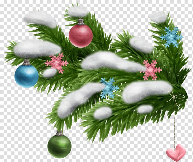 Spruce New Year tree Branch Leaf, fir-tree transparent background PNG clipart