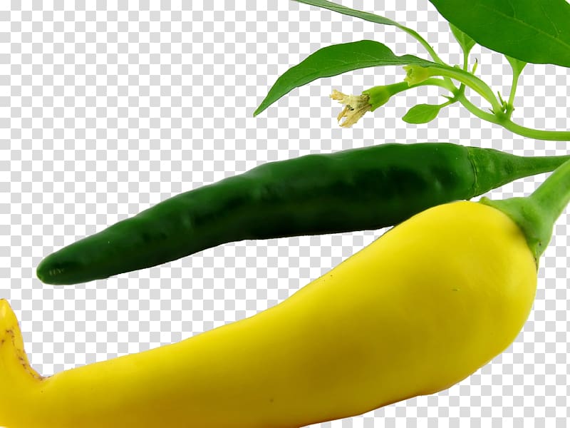 Bell pepper Chili pepper Vegetable Fruit Yellow pepper, green pepper transparent background PNG clipart