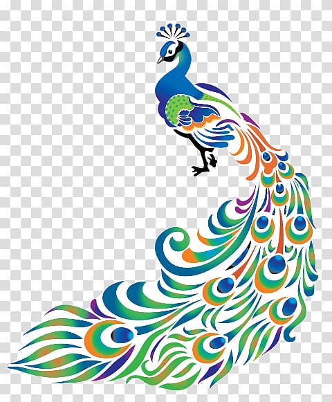 Drawing Peafowl Graphics, feather transparent background PNG clipart