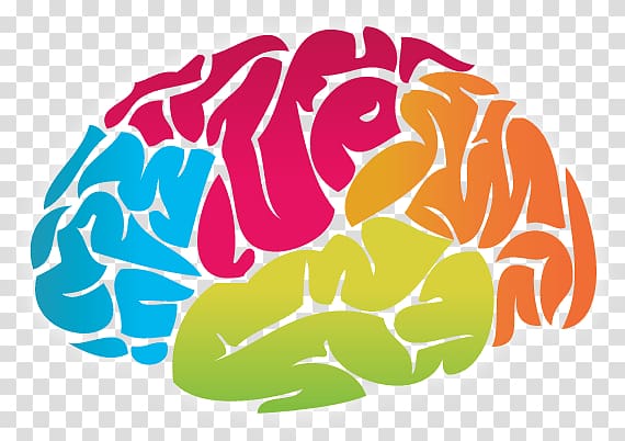 multicolored human brain illustration, Brain Colour Drawing transparent background PNG clipart