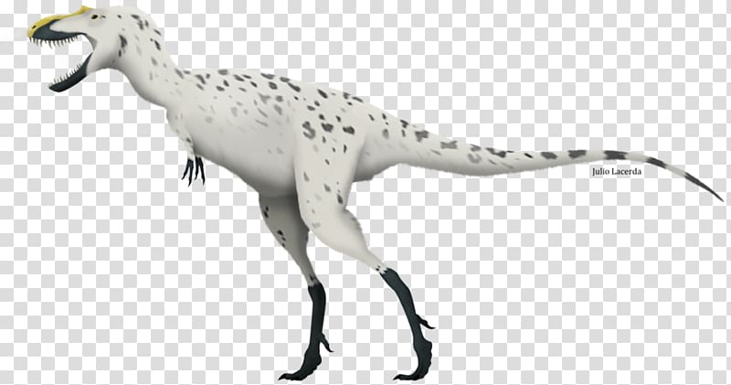 Tyrannosaurus Sinotyrannus Gorgosaurus Aviatyrannis Dryptosaurus, dinosaur transparent background PNG clipart