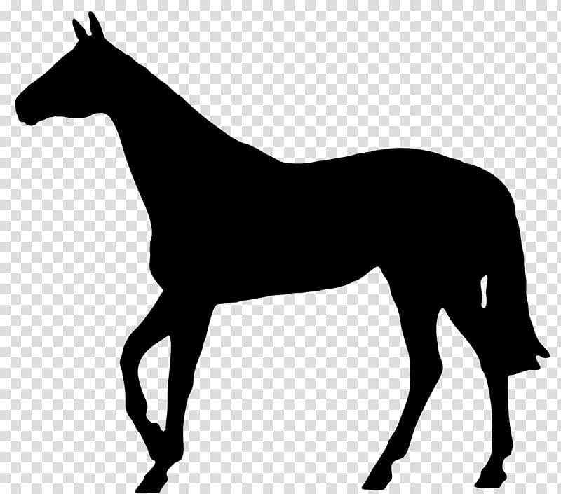 Thoroughbred Pony Silhouette Horse racing, horseshoe transparent background PNG clipart