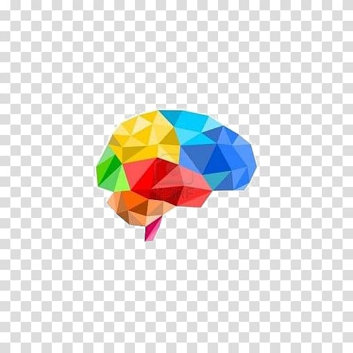 Brain 3D computer graphics Polygon Illustration, Creative brain transparent background PNG clipart
