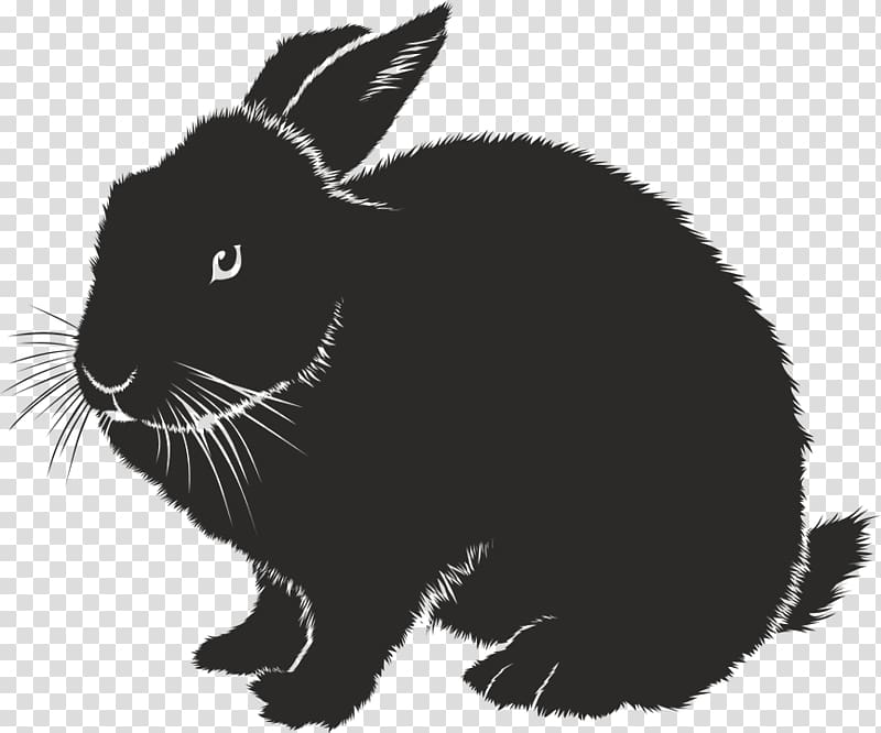 Domestic rabbit Silhouette , rabbit transparent background PNG clipart