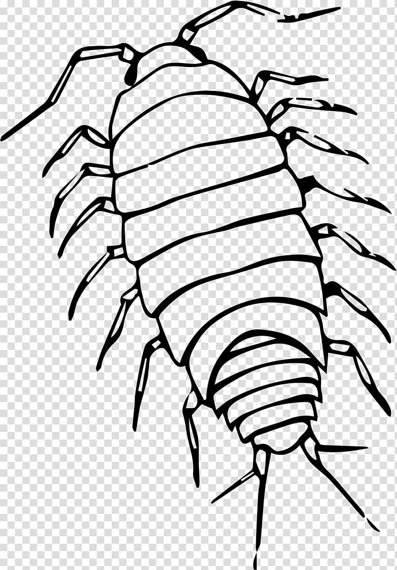 Pill bugs Black and white Roly-poly , others transparent background PNG clipart