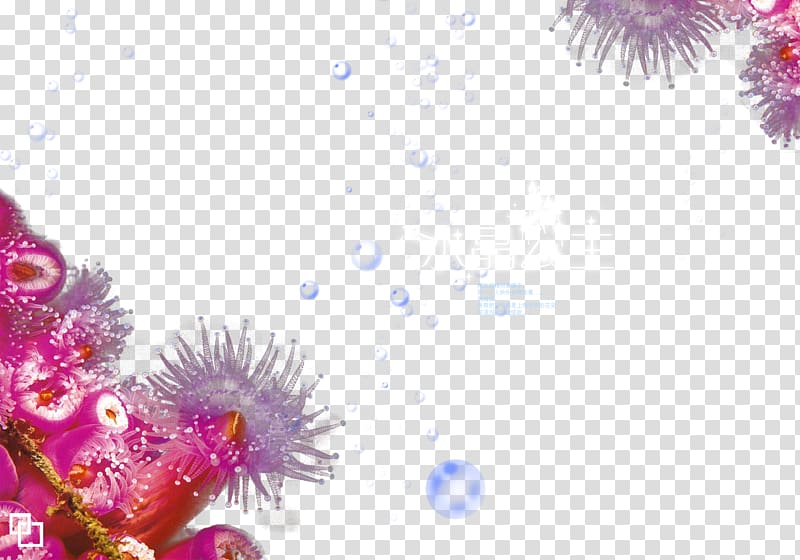 Computer Icons Computer file, Exotic flowers transparent background PNG clipart