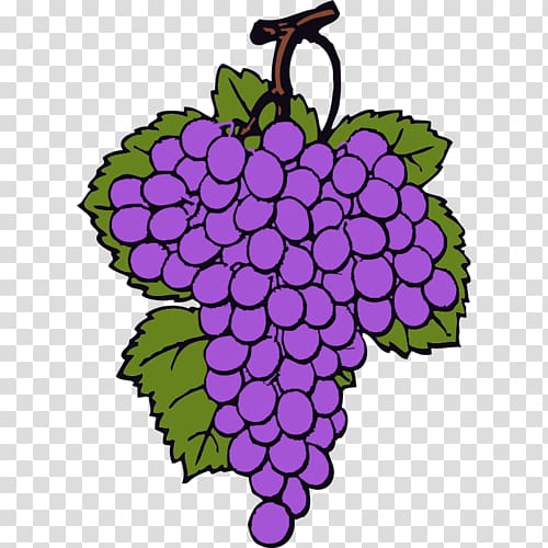 Common Grape Vine Wine , wine transparent background PNG clipart