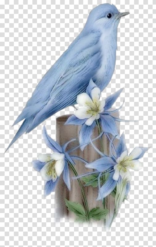 Hummingbird Bluebird of happiness, birds transparent background PNG clipart