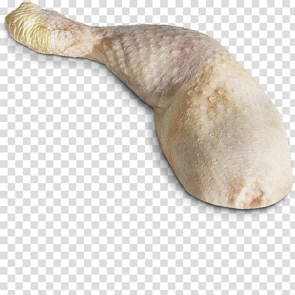 Reptile, Currysauce transparent background PNG clipart