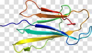 Line Point , line transparent background PNG clipart thumbnail