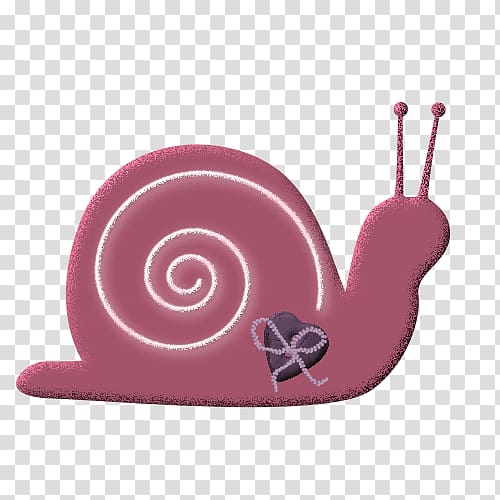 Snail Icon, Pink snail transparent background PNG clipart