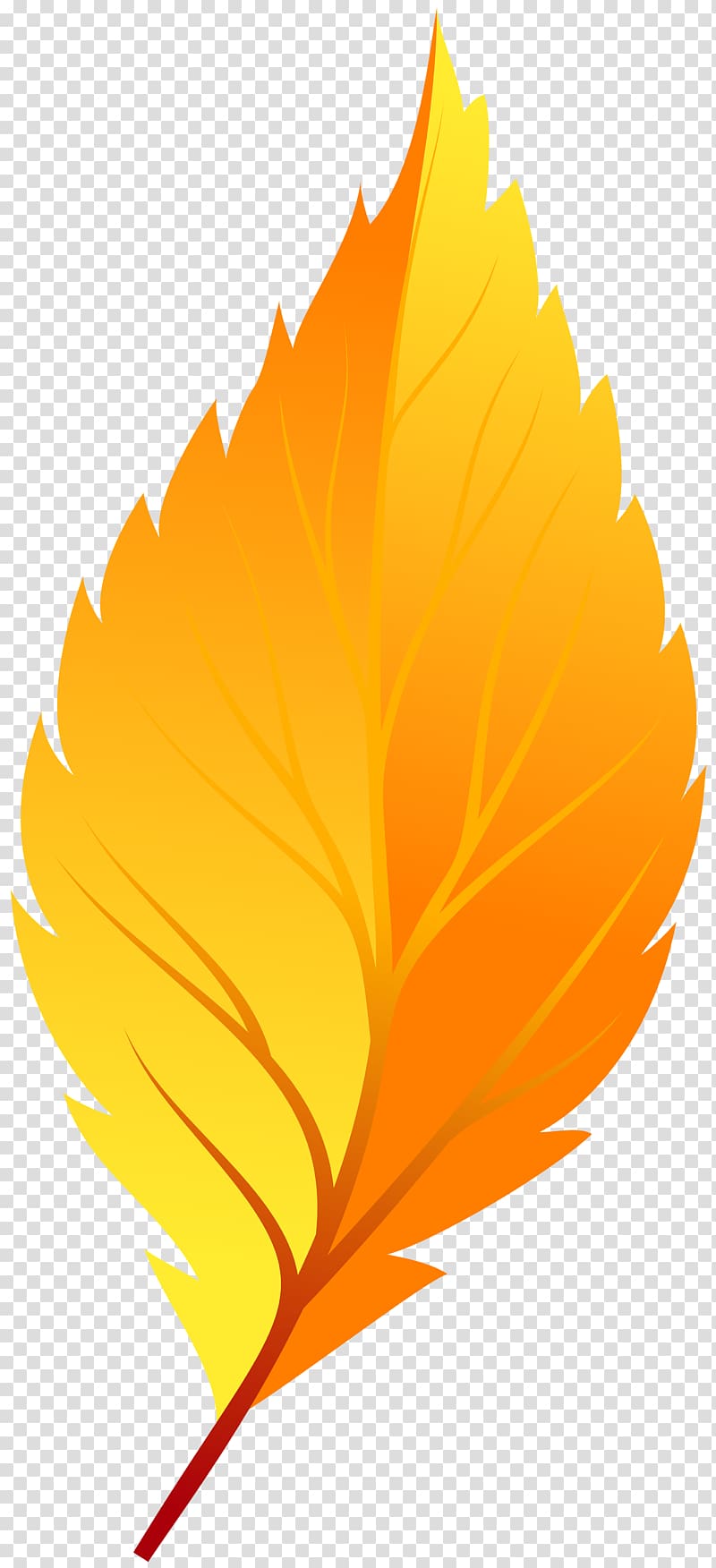 Autumn leaf color Yellow , autumn leaves transparent background PNG clipart