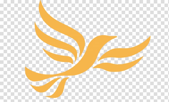 United Kingdom general election, 2010 Sheffield Hallam Liberal Democrats Cheadle United Kingdom general election, 2017, others transparent background PNG clipart