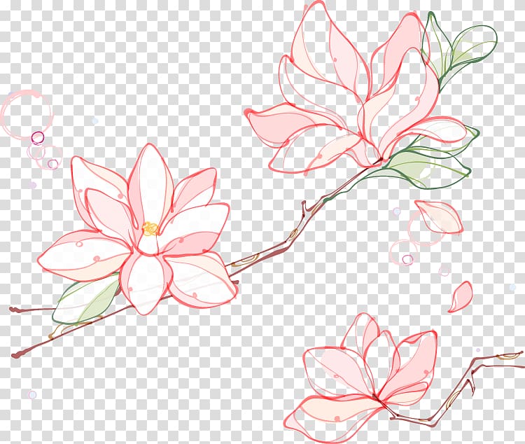 Euclidean Flower Southern magnolia, Magnolia artwork transparent background PNG clipart