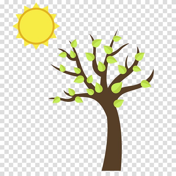 spring sun leaves transparent background PNG clipart