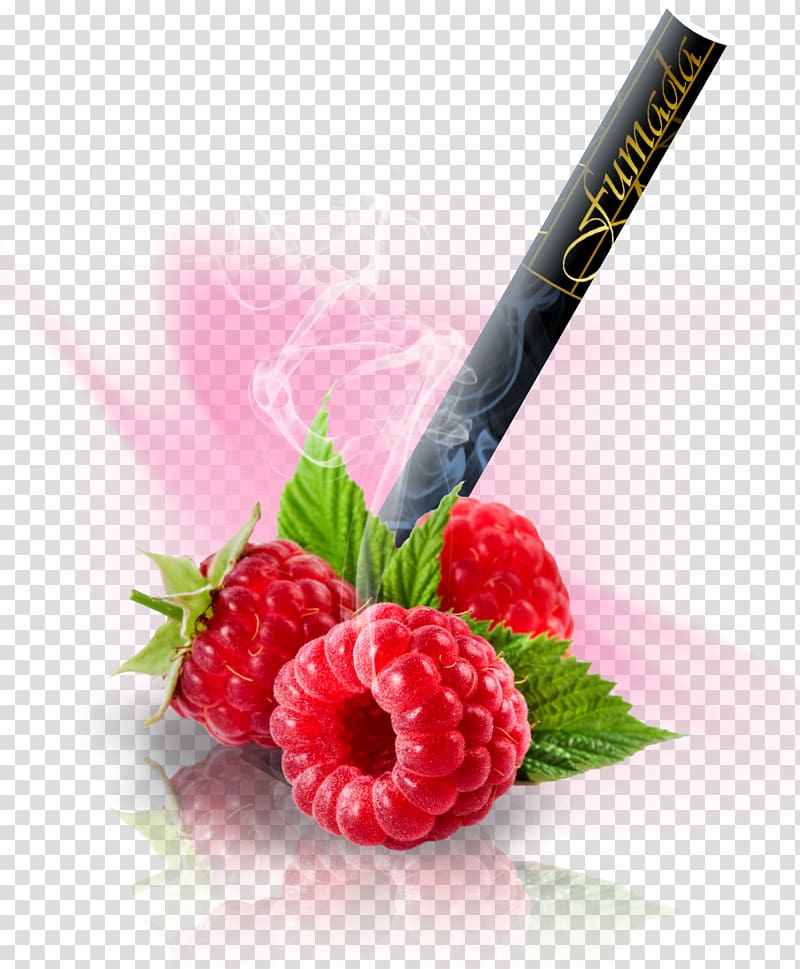 Raspberry ketone Garcinia gummi-gutta Red raspberry Extract, raspberries transparent background PNG clipart