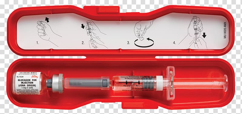 Glucagon Hormone Diabetes mellitus Type 1 diabetes Glucose, blood transparent background PNG clipart