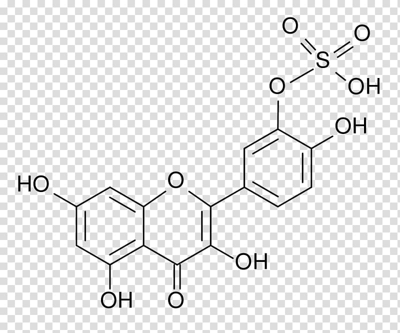 Flavonoid Quercetin beta-Naphthoflavone Antioxidant Aryl hydrocarbon receptor, Sodium sulfate transparent background PNG clipart