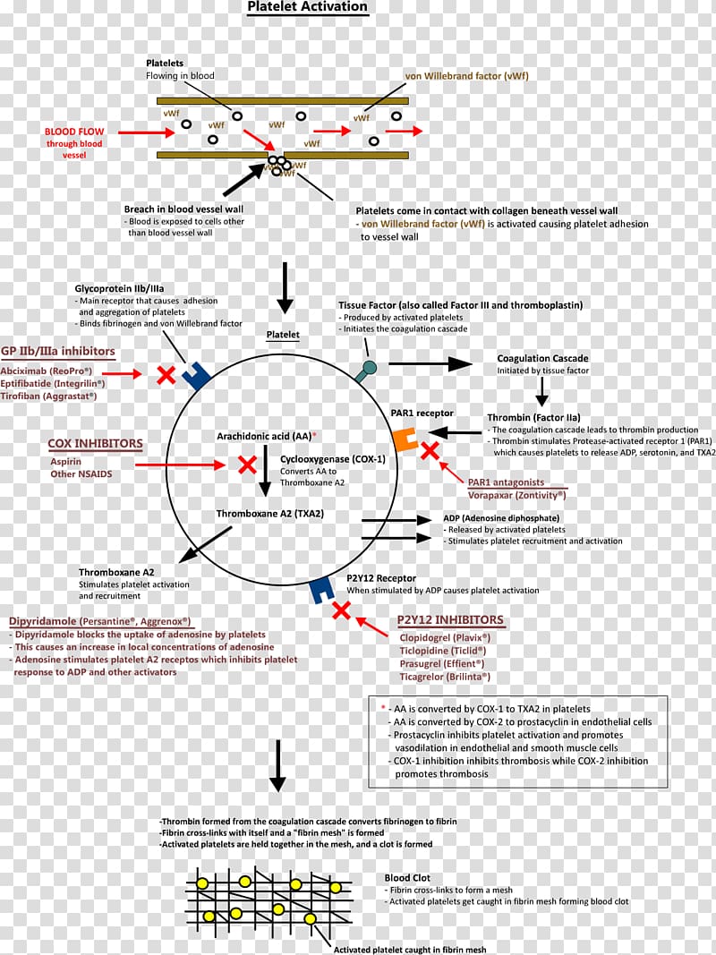 Antiplatelet Drug Chart