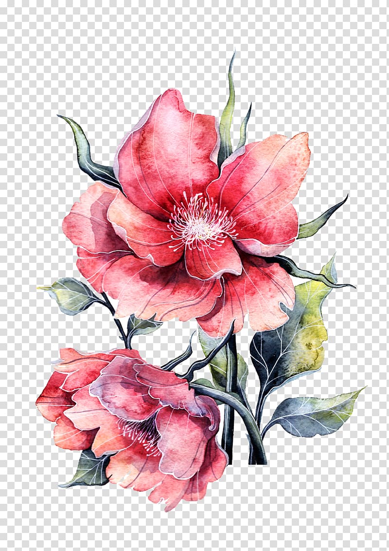 Flower Paper painting Rose, Watercolor peony in full bloom, two pink petaled flowers illustration transparent background PNG clipart