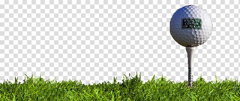 Golf Balls Pitch and putt Golf Tees Wood, golf tee transparent background PNG clipart